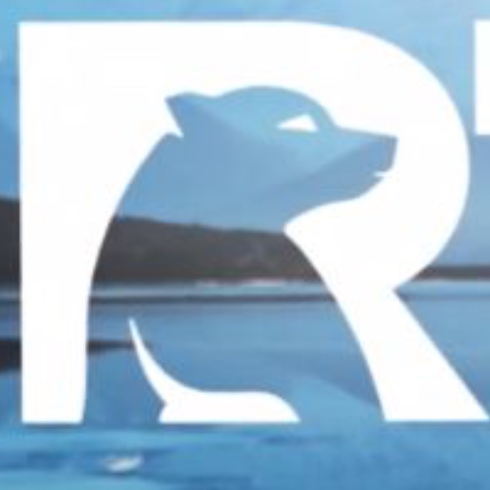 🥶RTIC🥵 Thermos/Travel Bottle Stainless Steel Double Wall Insulated Cooler - Picture 6 of 13